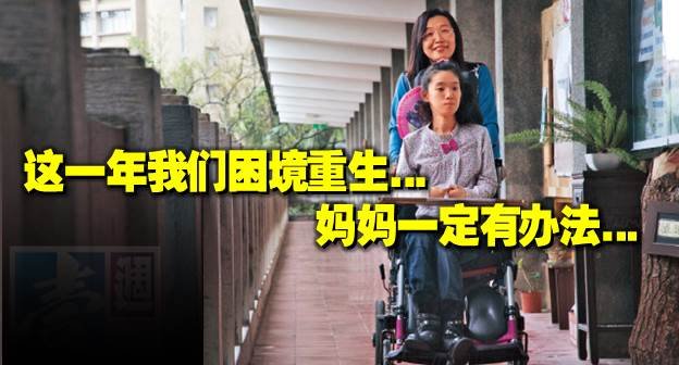 樱花水仙燕菜
